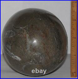 Ammonite from Morocco Egg-shaped approx. 6 inch long, very nice, extra rare