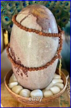 Collective Extra large Shiva Lingam sacred stone from India 19H x 28diameter
