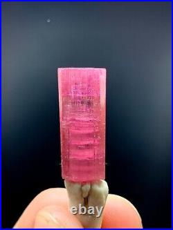 Extra Pink Tourmaline Crystal well Terminated Crystal From Afghan 24.6 Ct