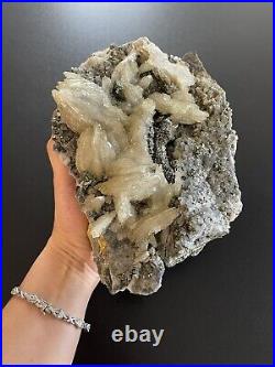 Marcasite Nodule Pyrite Crystal extra large. From Morocco. Golden Prophecy