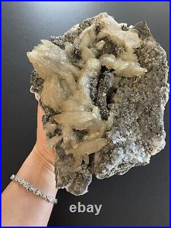 Marcasite Nodule Pyrite Crystal extra large. From Morocco. Golden Prophecy