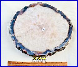 XL QUARTZ Crystal Geode Slab from Brazil Natural Color 13x12x1 15 Lbs
